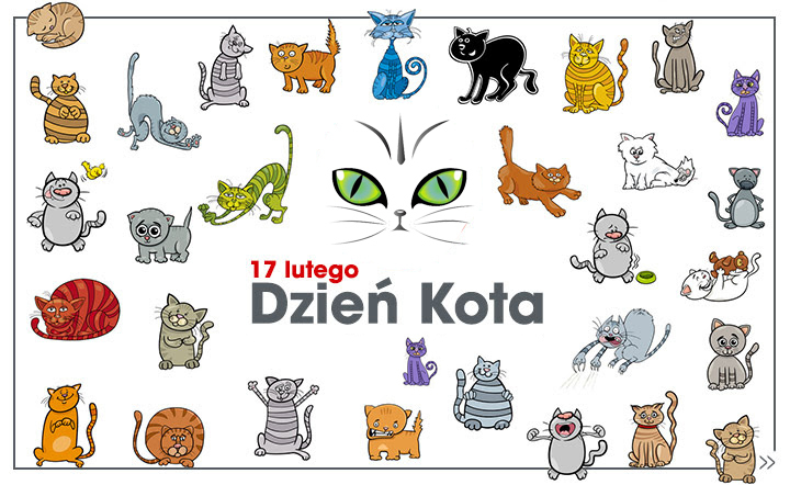 Dzień Kota w bibliotece