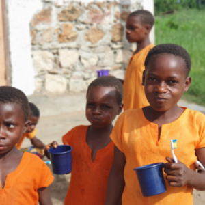 Kup Pan Szczoteczkę