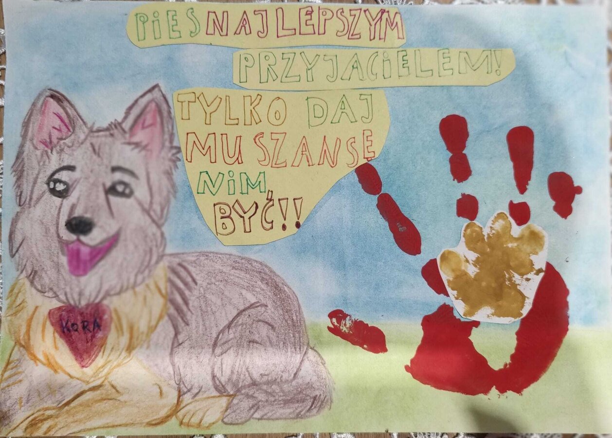 Mój przyjaciel ma 4 łapy 