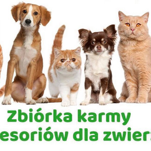 Zbiórka karmy