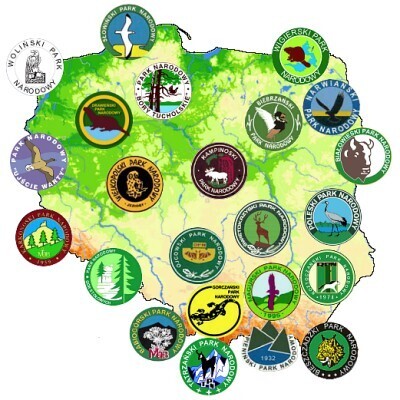 Konkursy Powiatowe z Geografii i Przyrody