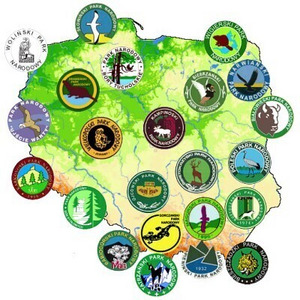 Konkursy Powiatowe z Geografii i Przyrody